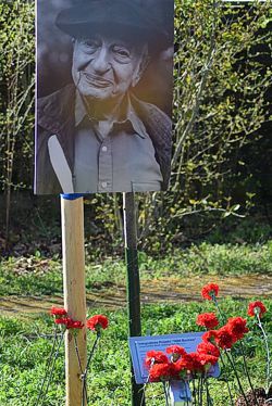 Ein Baum für Kurt Goldstein